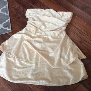 Champagne Shimmer Urban Renewal Vintage dress.
